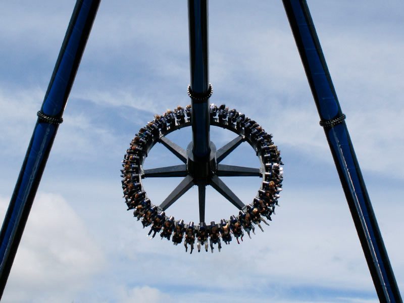 SpinSpider